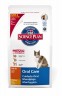 Adult Oral Care