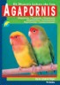 Agapornis