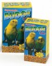 Budgerigar