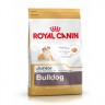 Bulldog Junior 30
