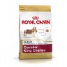 Cavalier King Charles