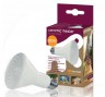 Ceramic Heater