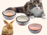 Comedero ceramica Pa 1089