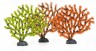 Coral Gorgonia