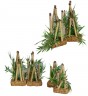 Decoracin Bamb