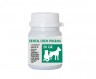 Dental Chem Pharma 50 Gr