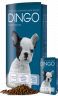 Dingo Cachorro