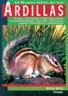 El Nuevo Libro De Las Ardillas