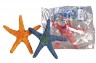 Estrella de mar