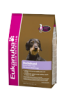 Eukanuba Dachshund - Teckel