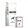 Gastro Intestinal Gi25