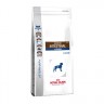 Gastro Intestinal Junior Gij29