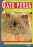 Gato Persa