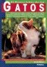 Gatos