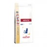 Hepatic Hf26