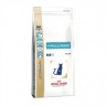 Hypoallergenic Dr25