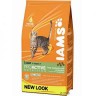 Iams adult Cordero