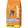 Iams adult Pescado Azul