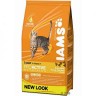 Iams adult Pollo