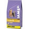 Iams Kitten pollo