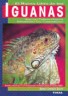 Iguanas