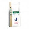 Obesity Management Dp42