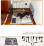 Parque y recinto Dog Training
