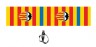 Petral Oficial Vcf Senyera