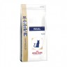 Renal Rf23