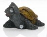 Tortuga Mvil