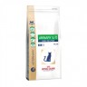 Urinary High Dilution Uhd34