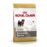 Yorkshire Terrier Junior